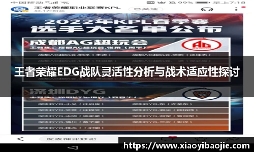 王者荣耀EDG战队灵活性分析与战术适应性探讨
