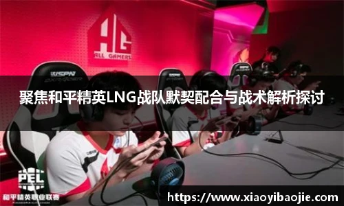 聚焦和平精英LNG战队默契配合与战术解析探讨