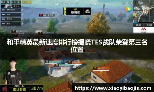 im电竞