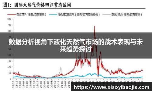 数据分析视角下液化天然气市场的战术表现与未来趋势探讨